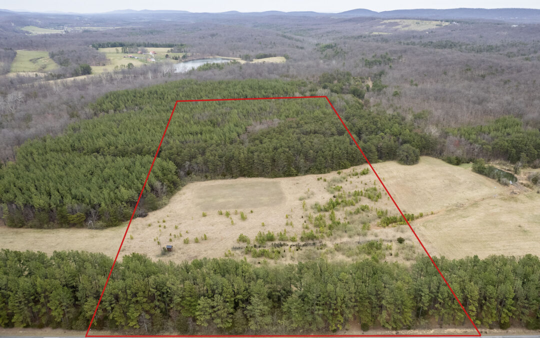 Lot 31A Fishel Road, VA 22602